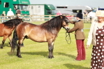 SBM_00464