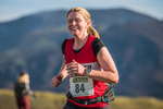 Sale Fell-343