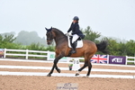 Cls 3 FEI PSG BRONZE portfolio