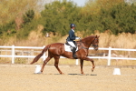 SBM_017515