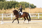 Class 7 - Advanced Medium 6 Gold - 14.52-16.00 portfolio