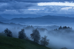 Alpine Mists