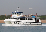 060512 SOLENT CAT IMG_6152