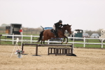SBM_002371