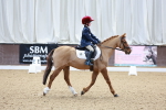 SBM_000309
