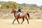 SBM_003534