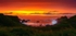 The Golden Coast
