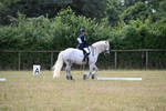 WJ6_3301