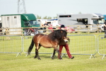 SBM_00634