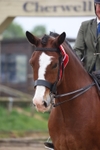 20260504-0301