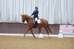 SBM_000237