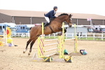 Class 17 - Senior Newcomers - 1.10m portfolio