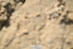 251004A-151425-01747