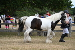 WJ6_8347