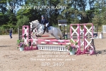 BPP_3497