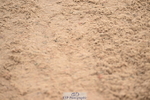 240720A-095102-13544
