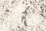 250420A-095942-00201