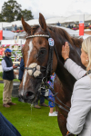 260823-Race 5-Albasheer-1236