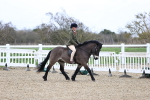 SBM_007391