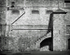 HMP Shepton Mallet