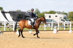 SBM_011479