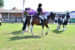 SBM_11653