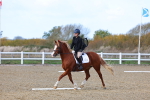 SBM_000985