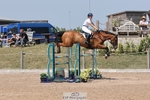 Cls 3 Snr Foxhunter portfolio
