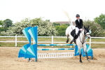 SBM_009662