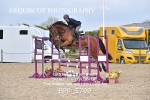 BPP_5799