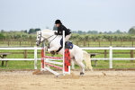 SBM_009496