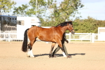 SBM_08302