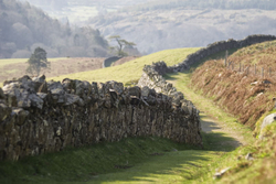 The road to Lough Dan