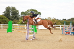 SBM_006920