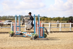SBM_006329