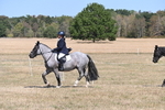 WJ6_8821