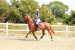 SBM_002252
