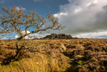 Stiperstones, Devils Chair