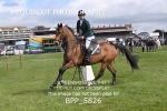 BPP_5826