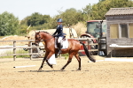 SBM_001512