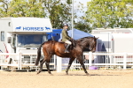 SBM_13431