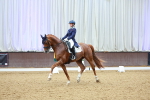 SBM_006034