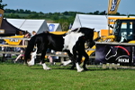 SBM_10087