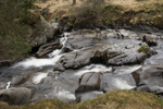 4891 White Water, Glendoll Forest