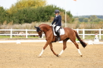 SBM_011481