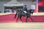 SBM_02945