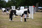 WJ6_4384