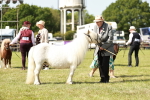 SBM_01982