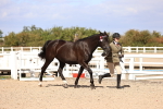 SBM_14268