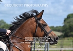 BPP_3409